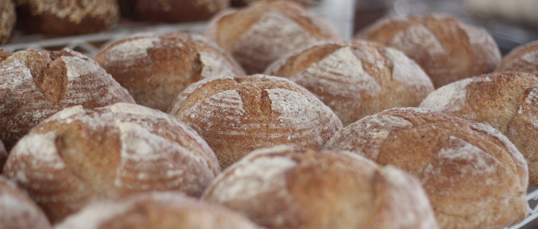 grossiste alimentaire patisserie viennoiserie bordeaux